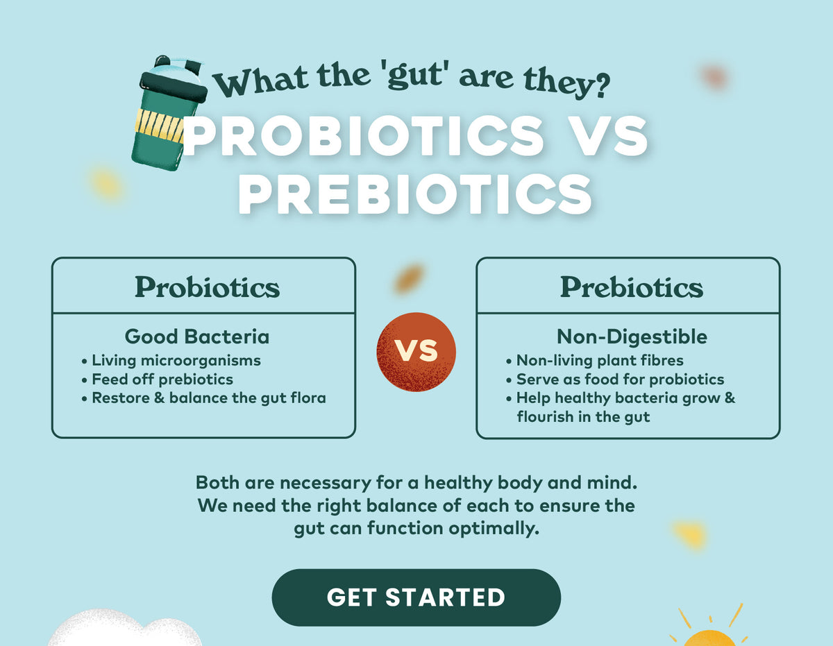 Prebiotics vs. Probiotics What's the Difference? Amazin' Graze Singapore
