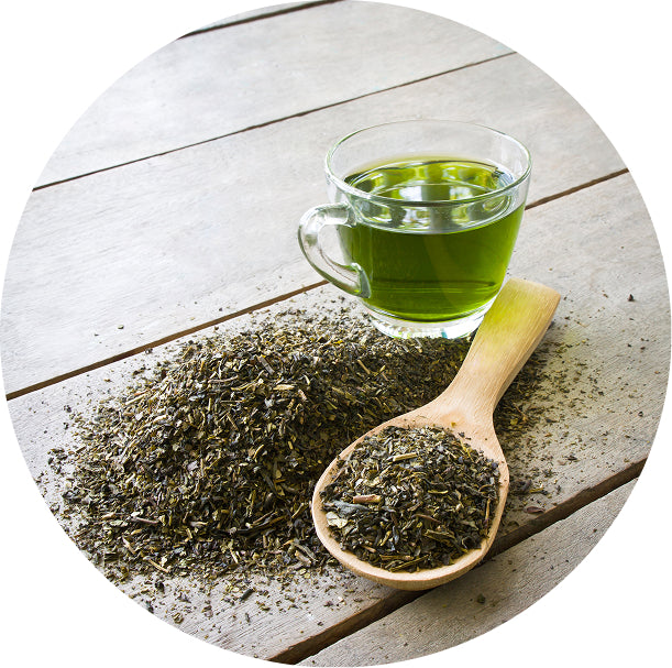 Green Tea Extract