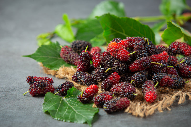 Mulberries