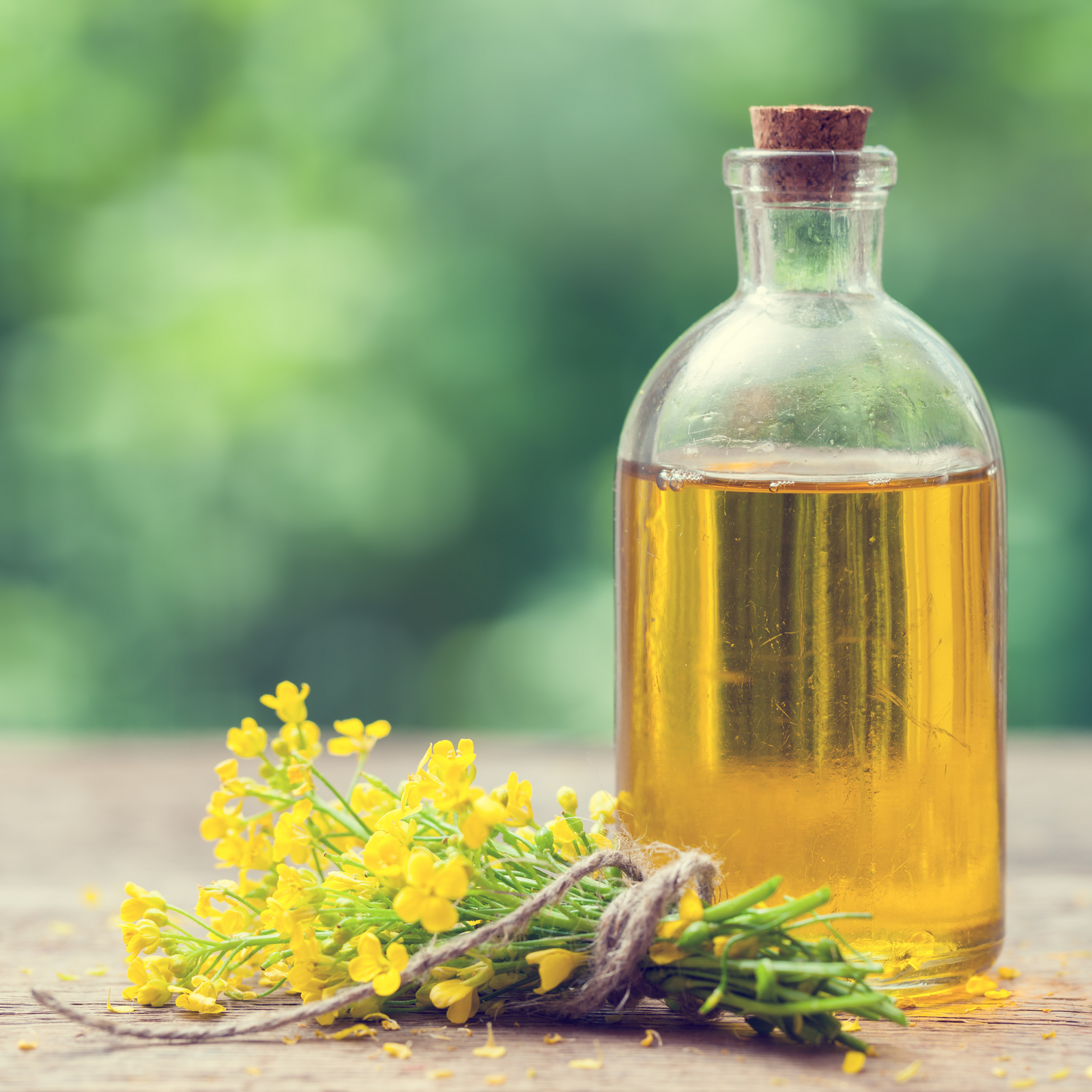 Embracing the Gold: Canola Oil - A Healthier Culinary Companion