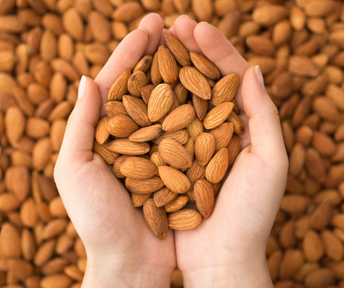 Top 10 Healthiest Nuts You Should Add to Your Diet
