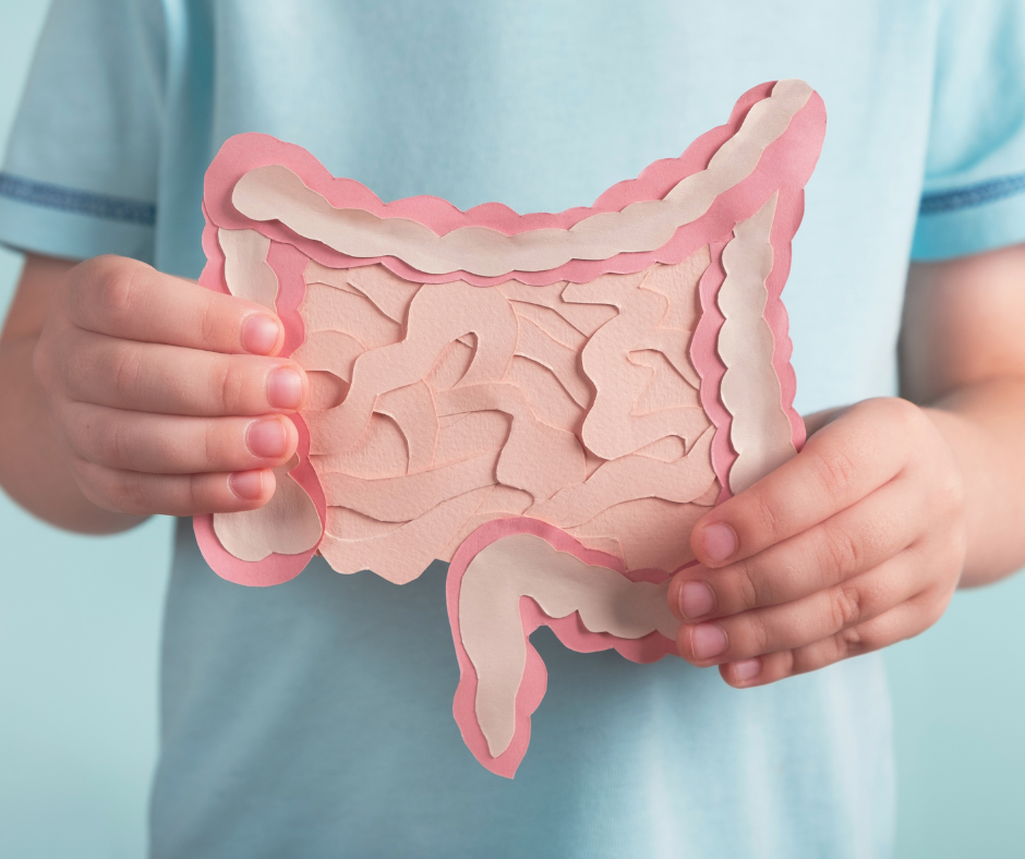 Unlocking the Power of Gut Health with Amazin Graze’s Protein Blend