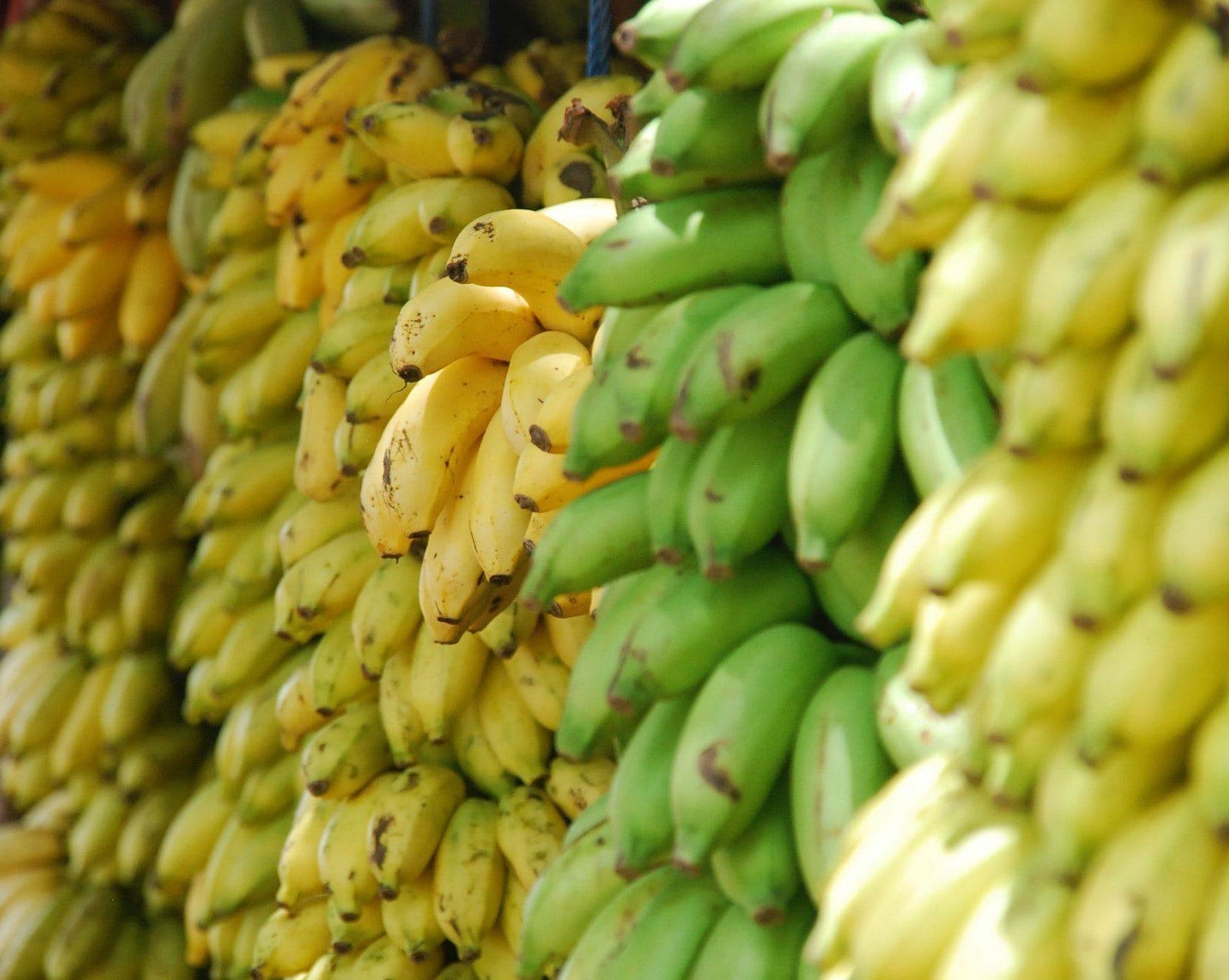 Go Bananas for Bananas! - Amazin' Graze Singapore