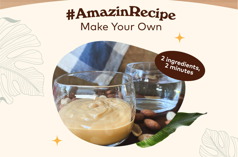 Home-Made Nut Milk Recipe