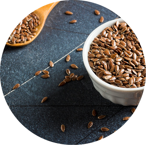 Flax Seeds