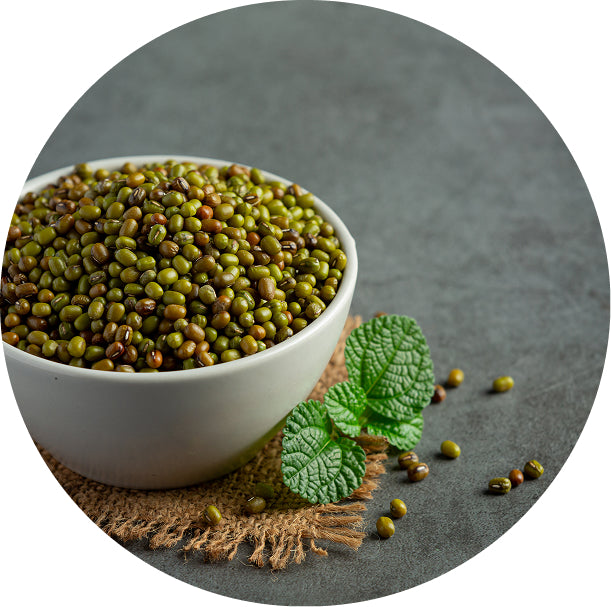 Mung Bean Protein