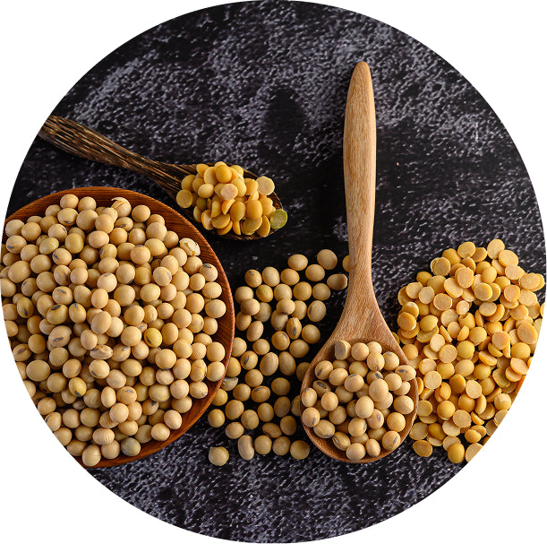 Pea Protein Isolate
