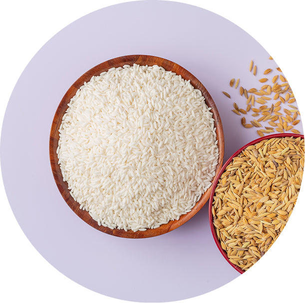 Rice Bran Extract